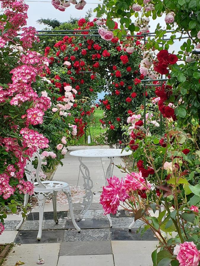 Rosencat Villa Sado ภายนอก รูปภาพ