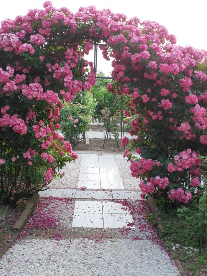 Rosencat Villa Sado ภายนอก รูปภาพ