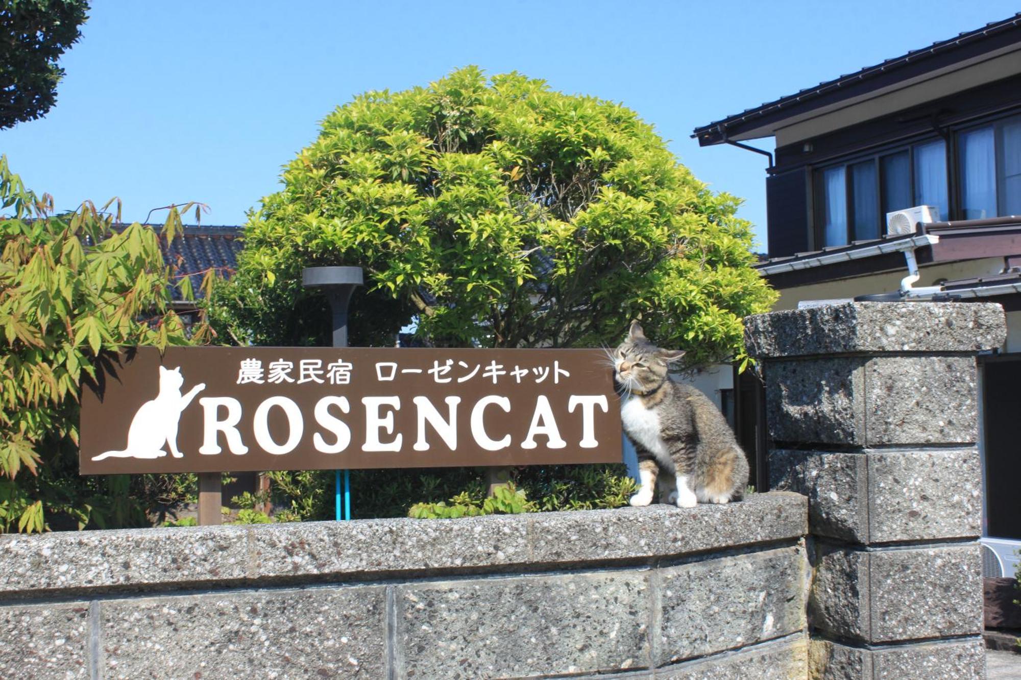Rosencat Villa Sado ภายนอก รูปภาพ