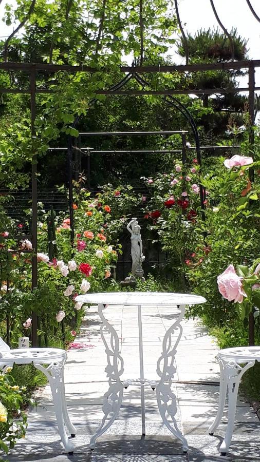 Rosencat Villa Sado ภายนอก รูปภาพ